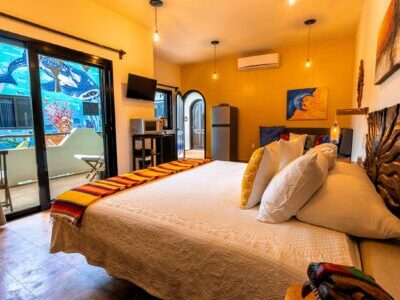 Sol Studio Suite