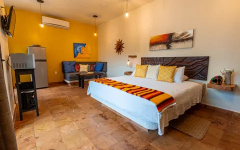 Sol Studio Suite